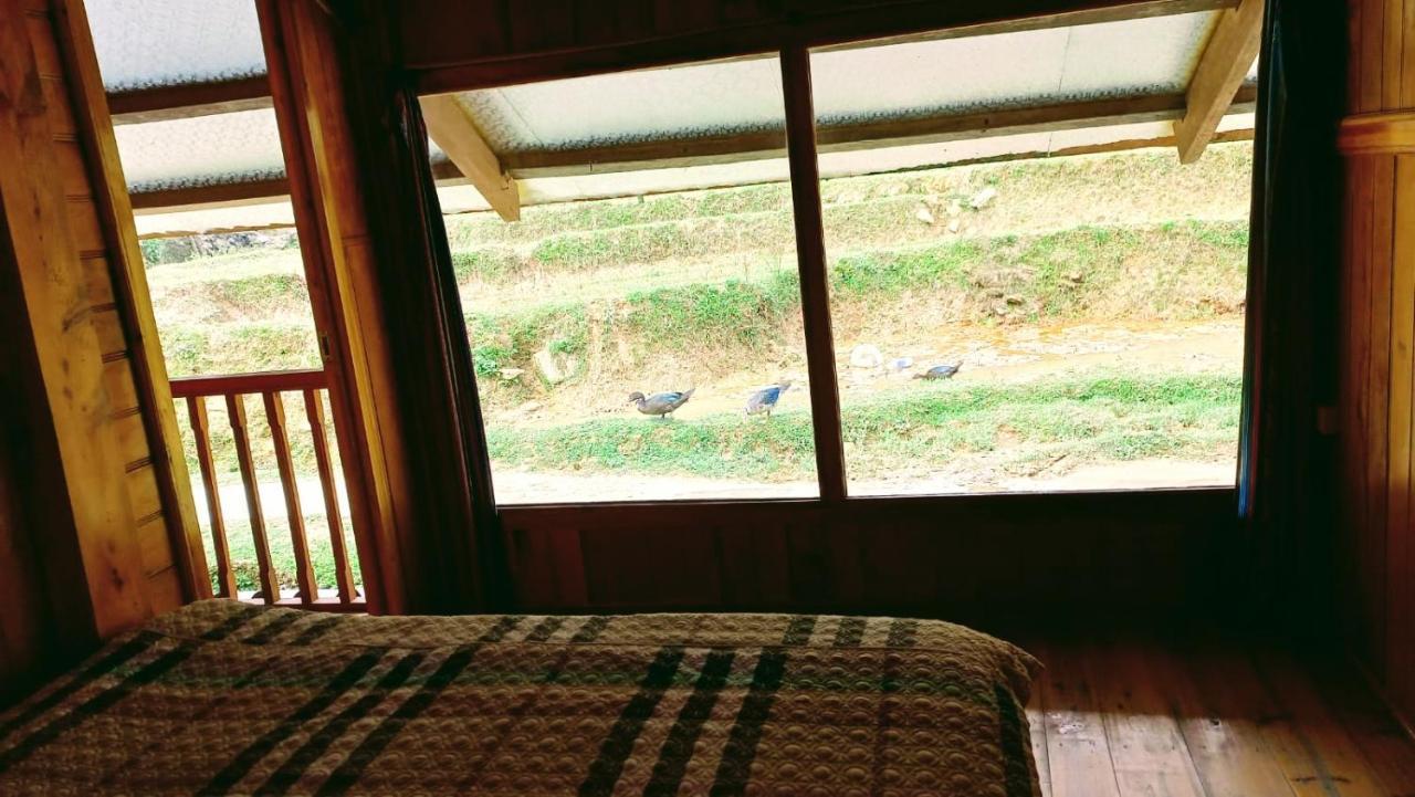 Madame View Homestay Шапа Экстерьер фото
